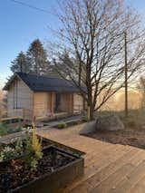 The landscaping is an important part of the project—and is constantly evolving. Jussi-Pekka is currently building an outdoor shower surrounded by wildflowers, and has plans for a greenhouse to grow herbs and vegetables. He is also planning a series of paths winding through the forest.